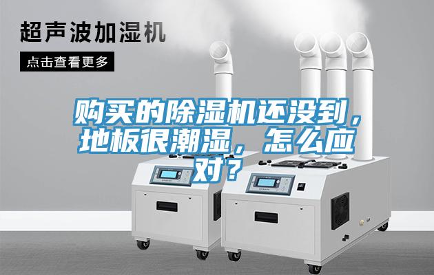 購買的除濕機還沒到，地板很潮濕，怎么應對？