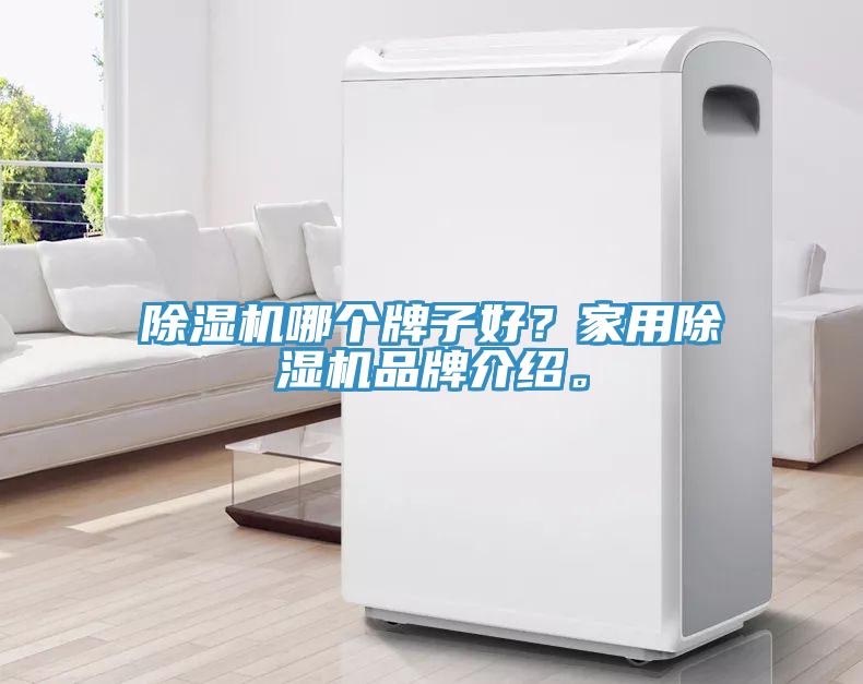 除濕機(jī)哪個(gè)牌子好？家用除濕機(jī)品牌介紹。