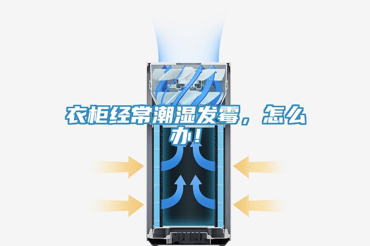 衣柜經(jīng)常潮濕發(fā)霉，怎么辦！