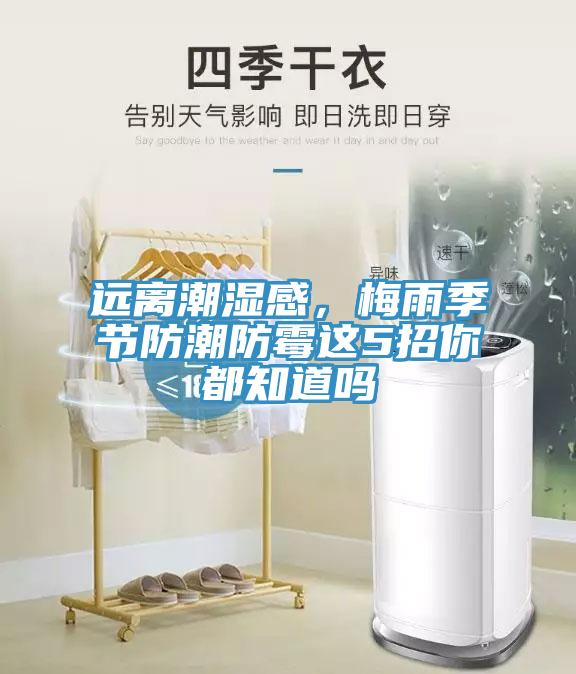 遠(yuǎn)離潮濕感，梅雨季節(jié)防潮防霉這5招你都知道嗎