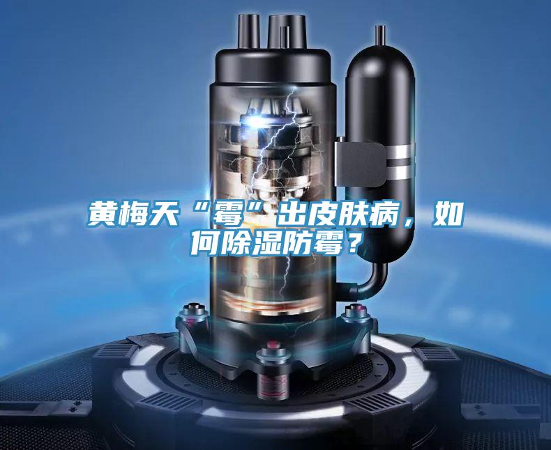 黃梅天“霉”出皮膚病，如何除濕防霉？