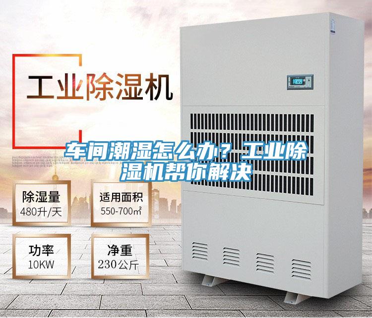 車(chē)間潮濕怎么辦？工業(yè)除濕機(jī)幫你解決