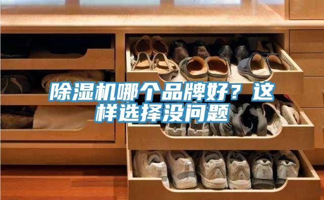 除濕機(jī)哪個(gè)品牌好？這樣選擇沒(méi)問(wèn)題
