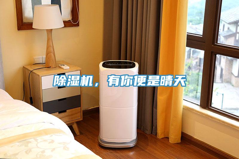 除濕機，有你便是晴天