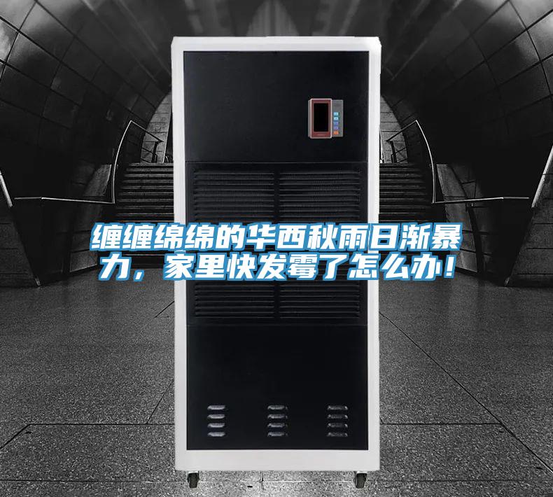 纏纏綿綿的華西秋雨日漸暴力，家里快發(fā)霉了怎么辦！