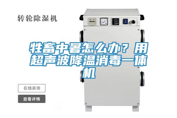 牲畜中暑怎么辦？用超聲波降溫消毒一體機(jī)