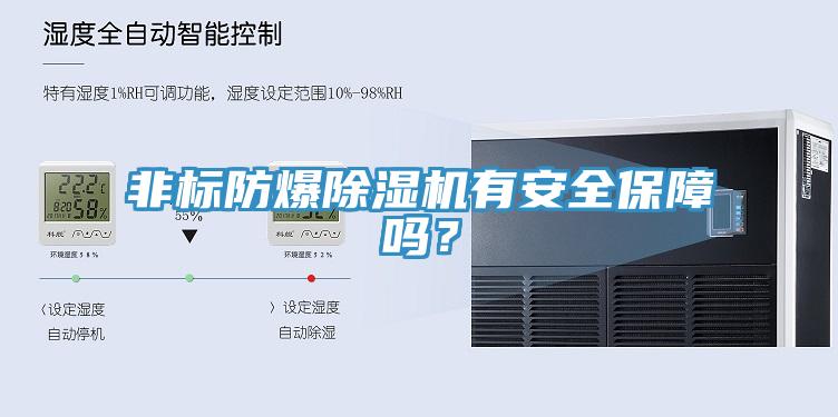 非標(biāo)防爆除濕機有安全保障嗎？