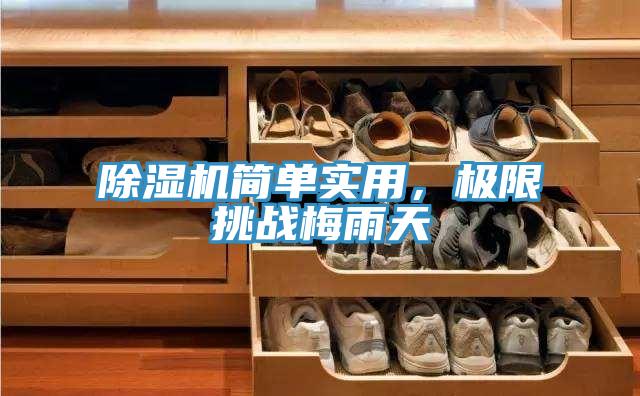 除濕機(jī)簡(jiǎn)單實(shí)用，極限挑戰(zhàn)梅雨天