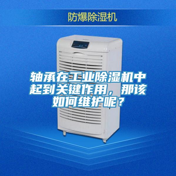 軸承在工業(yè)除濕機中起到關(guān)鍵作用，那該如何維護呢？