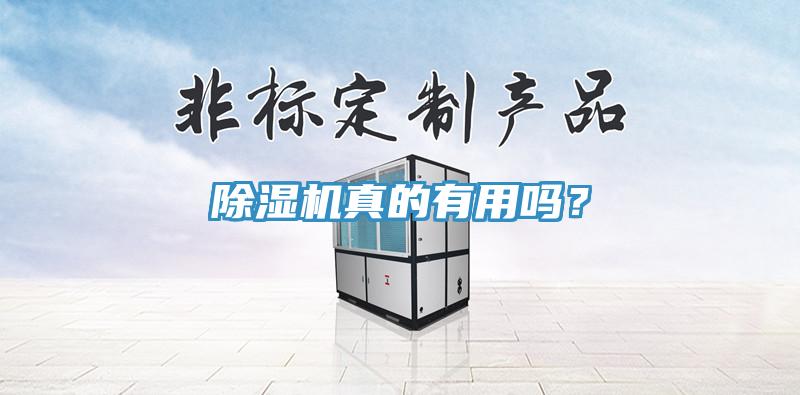 除濕機真的有用嗎？