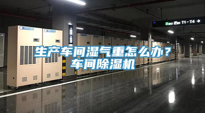 生產(chǎn)車間濕氣重怎么辦？車間除濕機(jī)