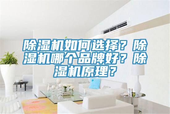 除濕機如何選擇？除濕機哪個品牌好？除濕機原理？