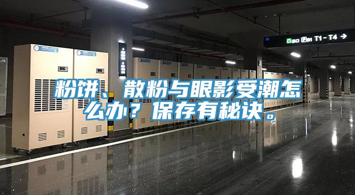 粉餅、散粉與眼影受潮怎么辦？保存有秘訣。