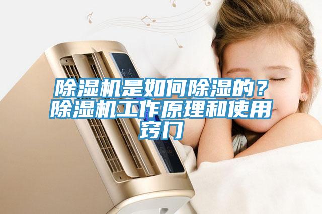 除濕機(jī)是如何除濕的？除濕機(jī)工作原理和使用竅門
