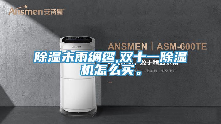除濕未雨綢繆,雙十一除濕機怎么買。
