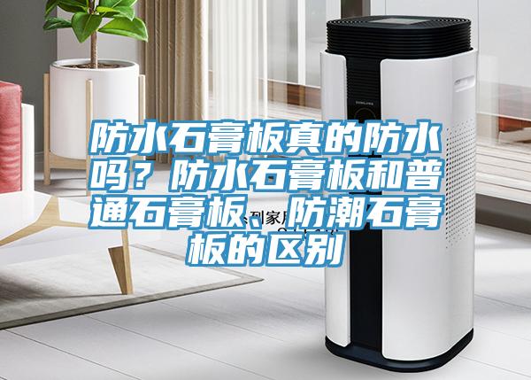 防水石膏板真的防水嗎？防水石膏板和普通石膏板、防潮石膏板的區(qū)別
