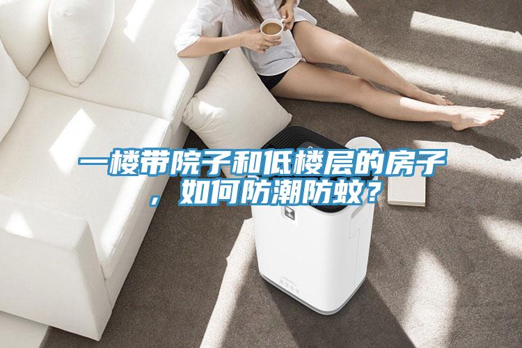 一樓帶院子和低樓層的房子，如何防潮防蚊？