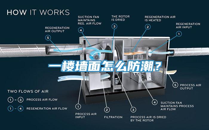 一樓墻面怎么防潮？