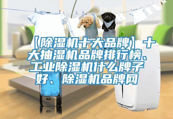 【除濕機(jī)十大品牌】十大抽濕機(jī)品牌排行榜、工業(yè)除濕機(jī)什么牌子好、除濕機(jī)品牌網(wǎng)
