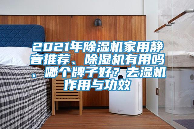 2021年除濕機家用靜音推薦、除濕機有用嗎、哪個牌子好？去濕機作用與功效