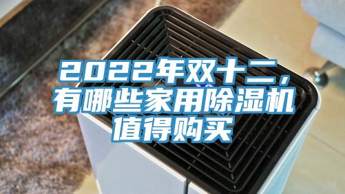 2022年雙十二，有哪些家用除濕機值得購買