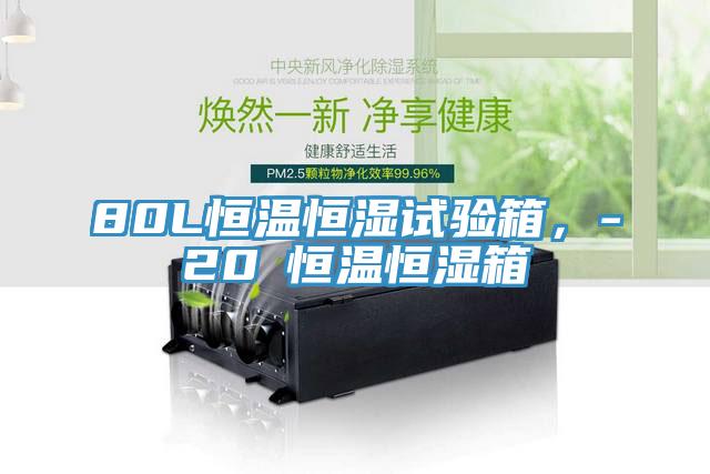 80L恒溫恒濕試驗箱，-20℃恒溫恒濕箱