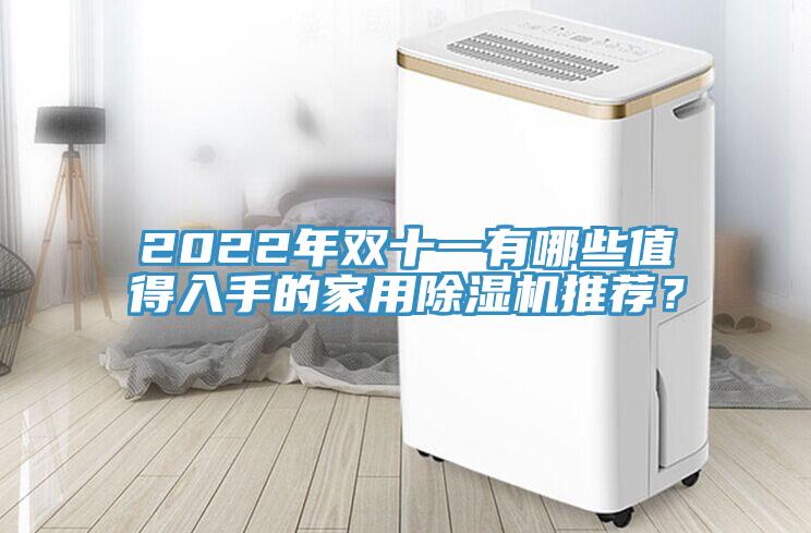 2022年雙十一有哪些值得入手的家用除濕機推薦？