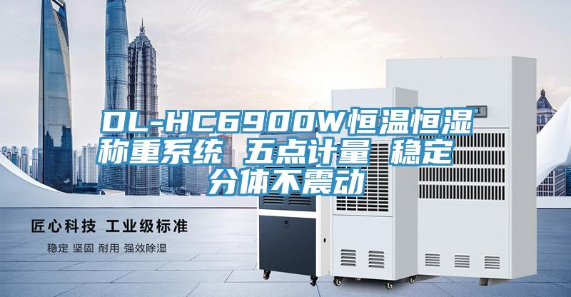 DL-HC6900W恒溫恒濕稱(chēng)重系統(tǒng) 五點(diǎn)計(jì)量 穩(wěn)定 分體不震動(dòng)
