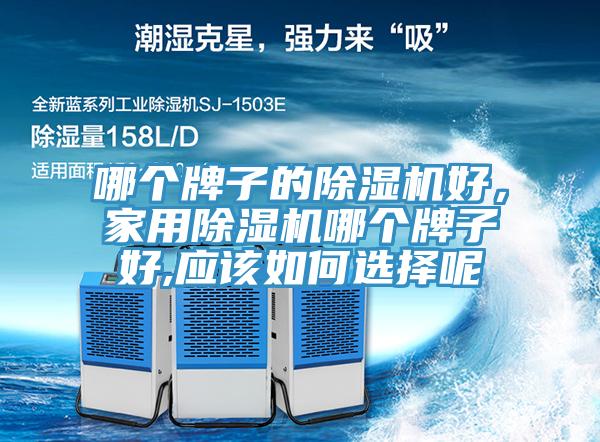 哪個牌子的除濕機好，家用除濕機哪個牌子好,應該如何選擇呢