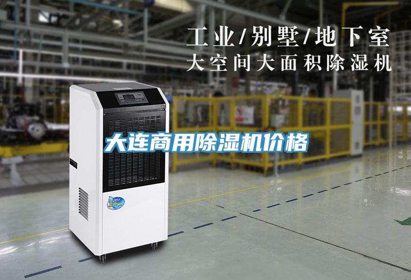 大連商用除濕機(jī)價格