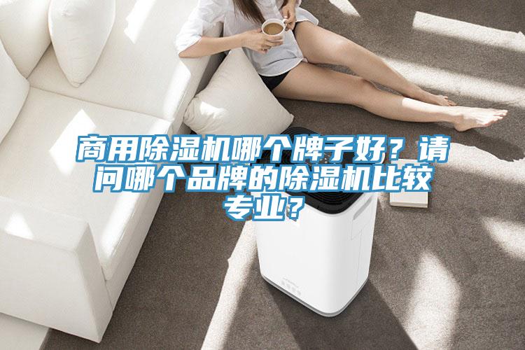 商用除濕機(jī)哪個(gè)牌子好？請問哪個(gè)品牌的除濕機(jī)比較專業(yè)？
