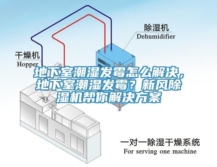 地下室潮濕發(fā)霉怎么解決，地下室潮濕發(fā)霉？新風除濕機幫你解決方案
