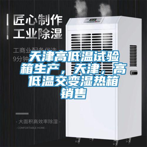 天津高低溫試驗箱生產(chǎn)，天津，高低溫交變濕熱箱銷售