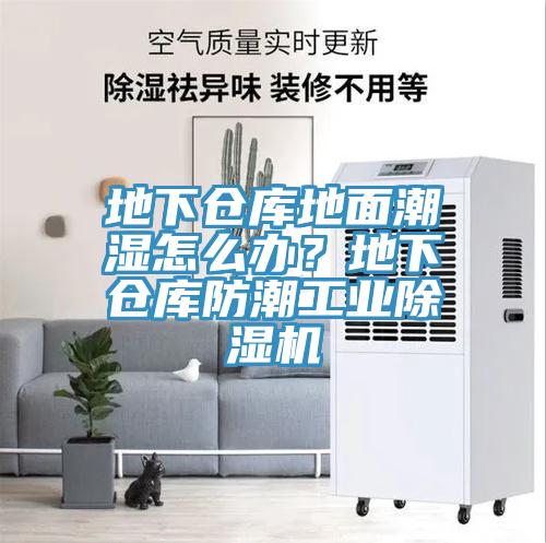 地下倉庫地面潮濕怎么辦？地下倉庫防潮工業(yè)除濕機