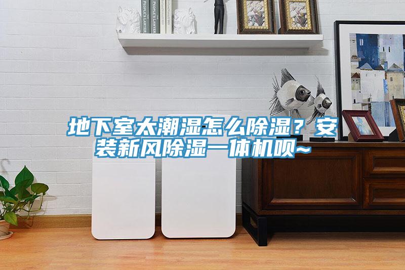 地下室太潮濕怎么除濕？安裝新風除濕一體機唄~