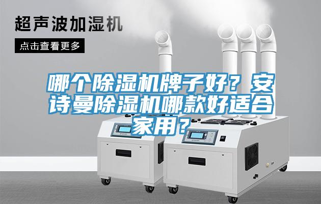 哪個除濕機牌子好？安詩曼除濕機哪款好適合家用？