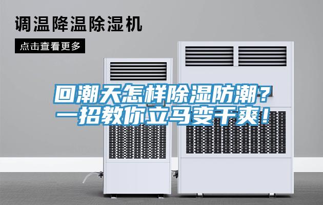 回潮天怎樣除濕防潮？一招教你立馬變干爽！