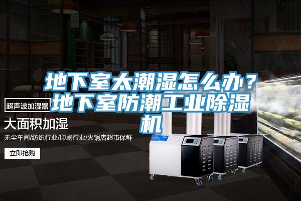 地下室太潮濕怎么辦？地下室防潮工業(yè)除濕機