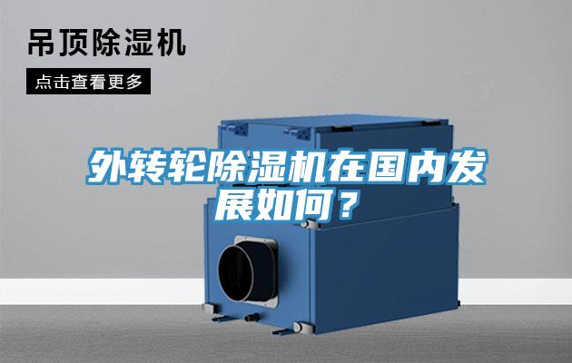 外轉(zhuǎn)輪除濕機(jī)在國內(nèi)發(fā)展如何？