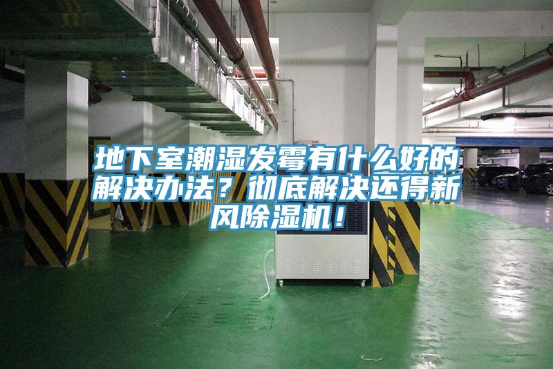 地下室潮濕發(fā)霉有什么好的解決辦法？徹底解決還得新風除濕機！
