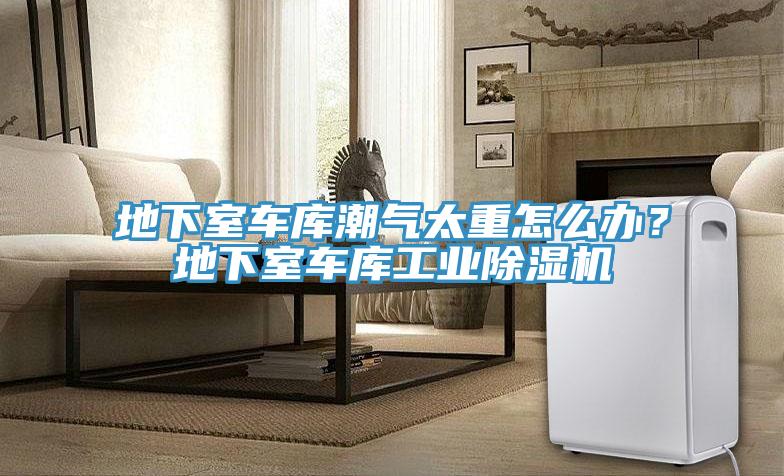 地下室車庫潮氣太重怎么辦？地下室車庫工業(yè)除濕機(jī)