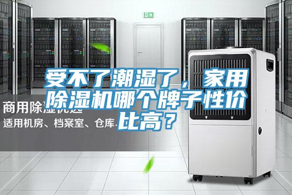受不了潮濕了，家用除濕機哪個牌子性價比高？