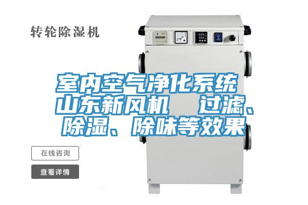室內(nèi)空氣凈化系統(tǒng) 山東新風(fēng)機(jī)  過(guò)濾、除濕、除味等效果