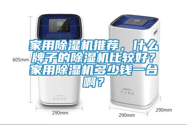 家用除濕機推薦，什么牌子的除濕機比較好？家用除濕機多少錢一臺??？