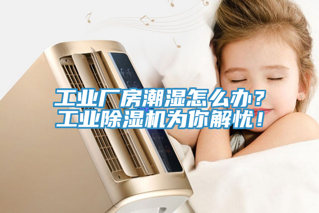 工業(yè)廠房潮濕怎么辦？工業(yè)除濕機為你解憂！