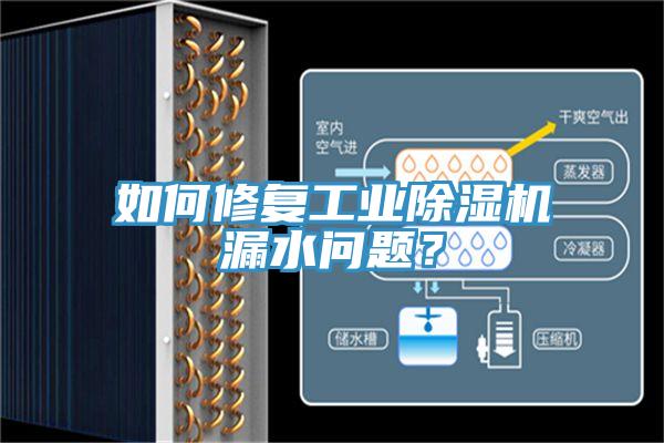 如何修復(fù)工業(yè)除濕機漏水問題？