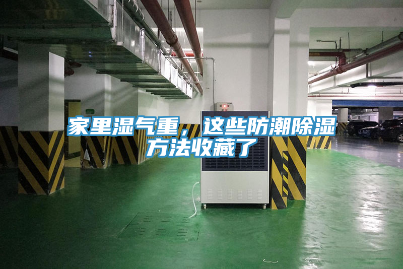 家里濕氣重，這些防潮除濕方法收藏了