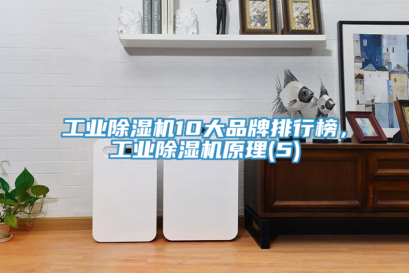 工業(yè)除濕機10大品牌排行榜，工業(yè)除濕機原理(5)