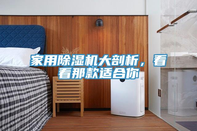 家用除濕機大剖析，看看那款適合你