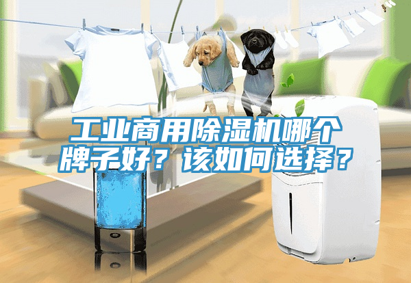 工業(yè)商用除濕機(jī)哪個(gè)牌子好？該如何選擇？
